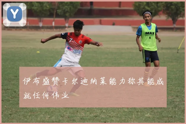 伊布盛赞卡尔迪纳莱能力称其能成就任何伟业